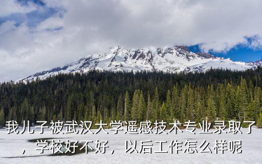 武漢大學陶行知學院怎么樣,武漢學院怎么樣
