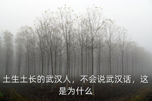 土生土長的武漢人，不會說武漢話，這是為什么