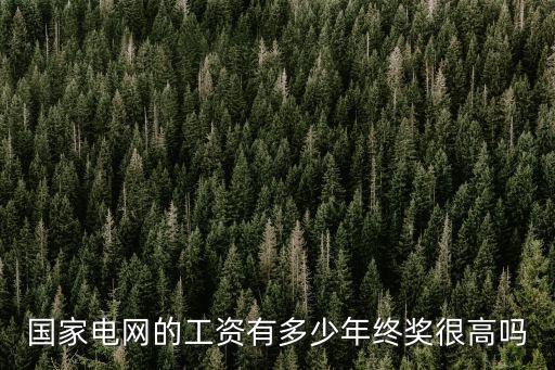 張家口陽原縣電網(wǎng)工資多少,國家電網(wǎng)的工資有多少