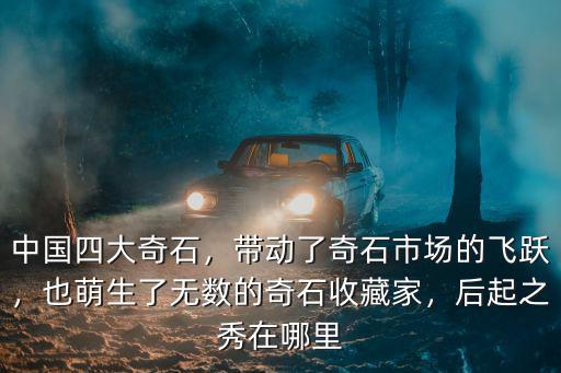 中國四大奇石，帶動了奇石市場的飛躍，也萌生了無數(shù)的奇石收藏家，后起之秀在哪里