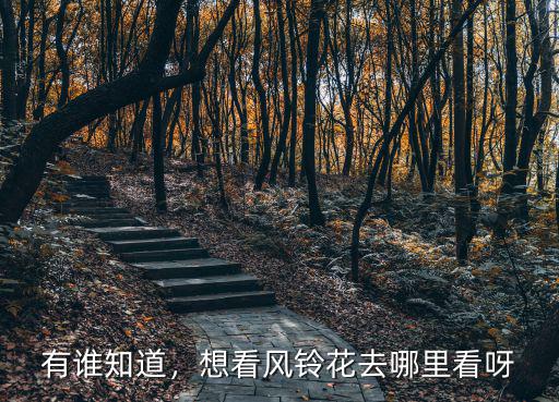 有誰知道，想看風鈴花去哪里看呀