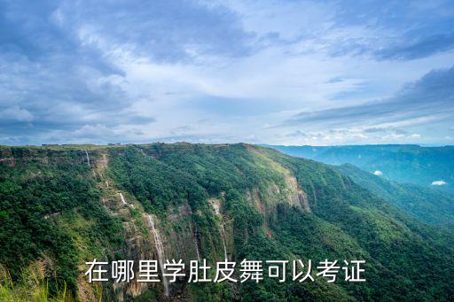 德陽哪里學肚皮舞教學好,在哪里學肚皮舞可以考證