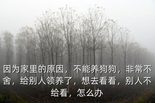 因?yàn)榧依锏脑颍荒莛B(yǎng)狗狗，非常不舍，給別人領(lǐng)養(yǎng)了，想去看看，別人不給看，怎么辦