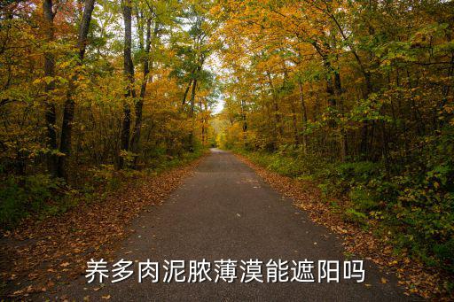 養多肉泥膿薄漠能遮陽嗎