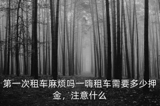 保定租車押金一般是多少,租車要多少押金呢