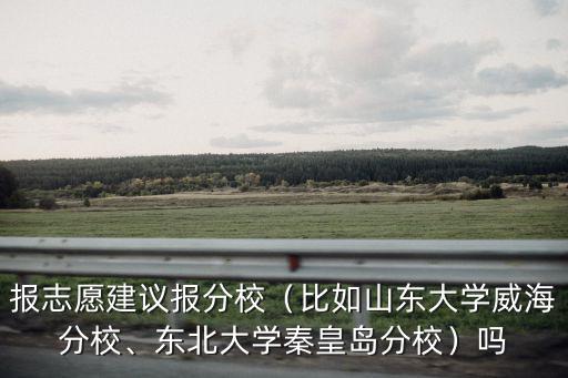 理工大學秦皇島分校多少分,東北大學秦皇島分校