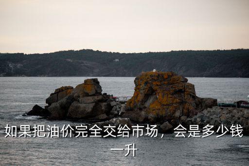 秦皇島油價多少錢一升,會是多少錢一升