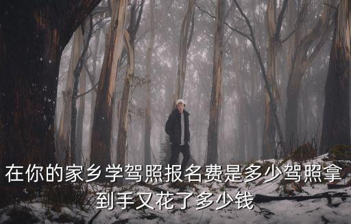 淮南c1駕駛證要多少錢,駕照拿到手又花了多少錢