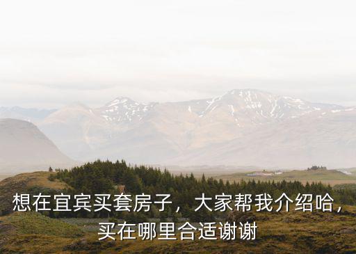 宜賓哪里的樓盤比較好,宜賓有哪些開發商做得比較好