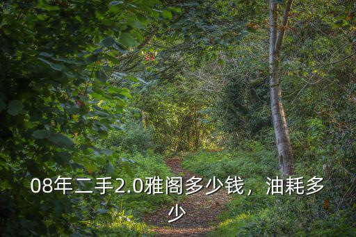 河北08雅閣二手多少錢,08年二手2.0雅閣多少錢