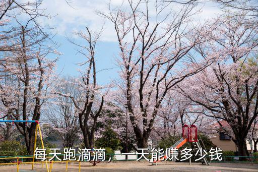 每天跑滴滴，一天能賺多少錢(qián)