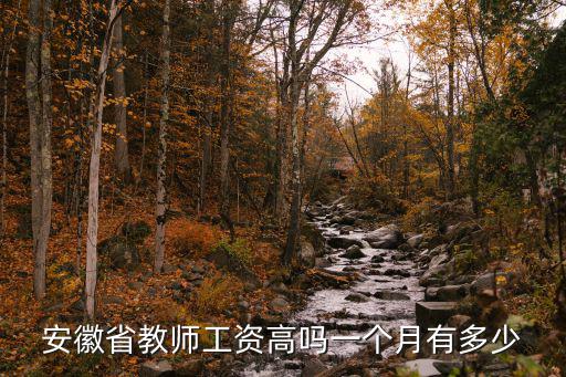 安徽滁州鳳陽教師工資多少,安徽省教師工資高嗎