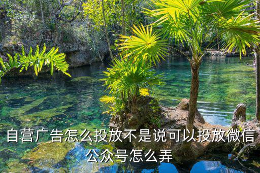 自營廣告怎么投放不是說可以投放微信公眾號怎么弄