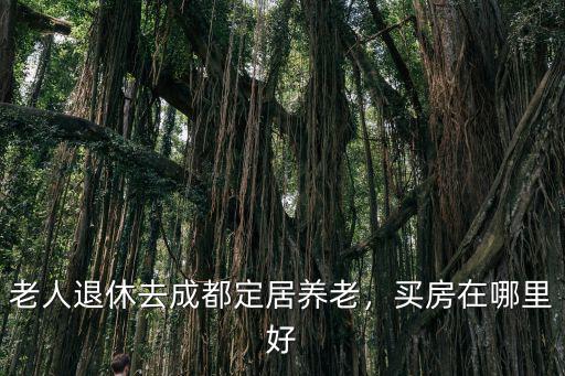老人退休去成都定居養老，買房在哪里好