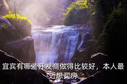 宜賓有哪些開發商做得比較好，本人最近想買房