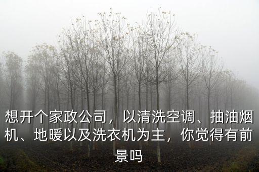 想開個家政公司，以清洗空調、抽油煙機、地暖以及洗衣機為主，你覺得有前景嗎