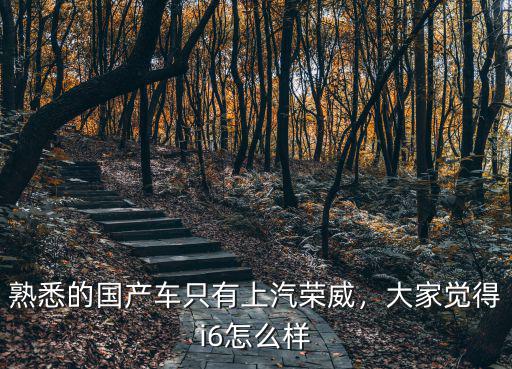 鄭州榮威i6怎么樣,榮威i6質量怎么樣