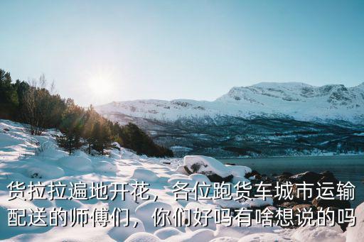 貨拉拉遍地開花，各位跑貨車城市運輸配送的師傅們，你們好嗎有啥想說的嗎