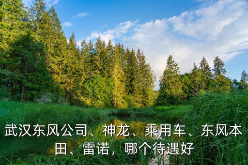 武漢竹葉山東風雷諾日產店怎么樣,東風雷諾的科雷傲怎么樣