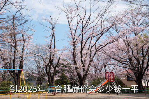合肥208年房價是多少,合肥房價會多少錢一平