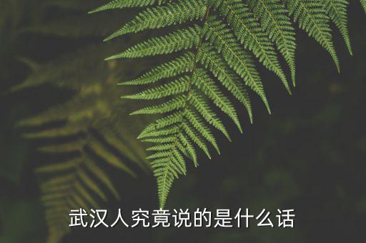 武漢不歡迎我用武漢話怎么說,不會說武漢話