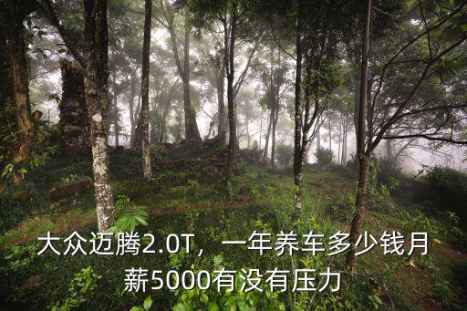 在宣城邁騰保養(yǎng)一次多少錢,一年養(yǎng)車多少錢