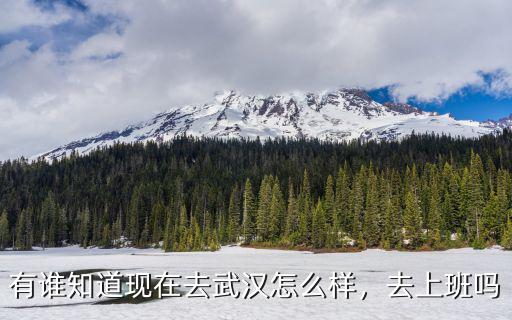 武漢大博醫療上班怎么樣,武漢的醫療水平怎么樣