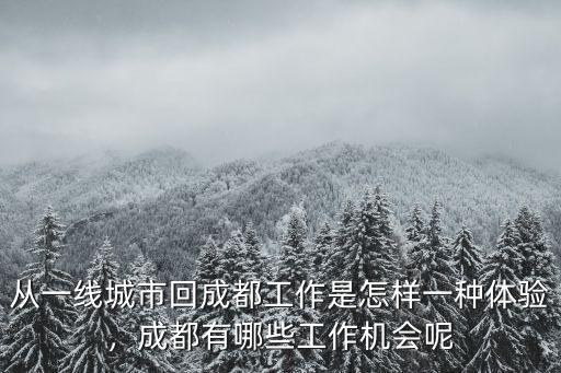 從一線城市回成都工作是怎樣一種體驗(yàn)，成都有哪些工作機(jī)會(huì)呢