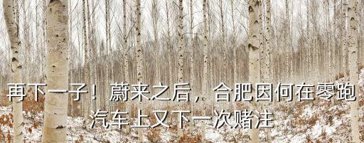再下一子！蔚來之后，合肥因何在零跑汽車上又下一次賭注