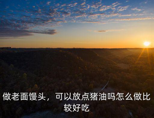 做老面饅頭，可以放點(diǎn)豬油嗎怎么做比較好吃