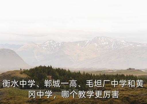 衡水中學、鄲城一高、毛坦廠中學和黃岡中學，哪個教學更厲害