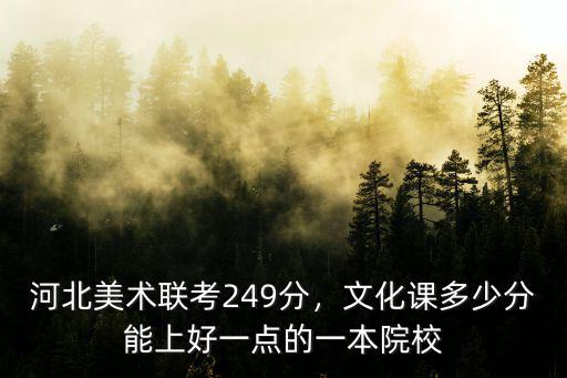 河北美術(shù)聯(lián)考249分，文化課多少分能上好一點(diǎn)的一本院校