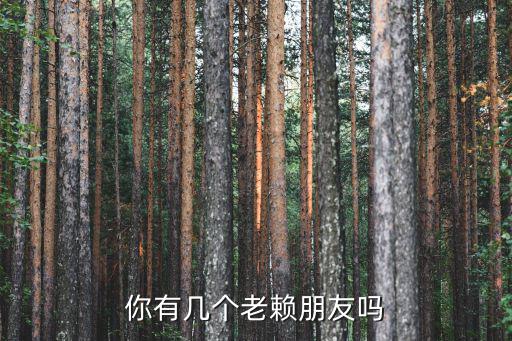 你有幾個老賴朋友嗎