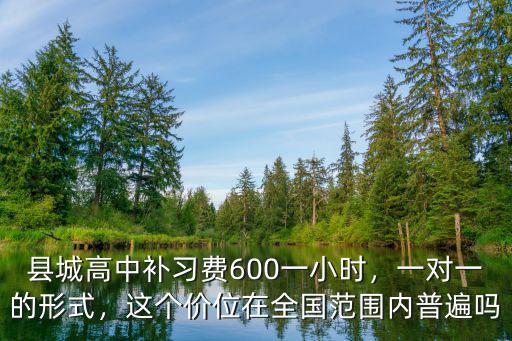 邯鄲英語高中一對一多少錢,高中補課多少錢一小時合理