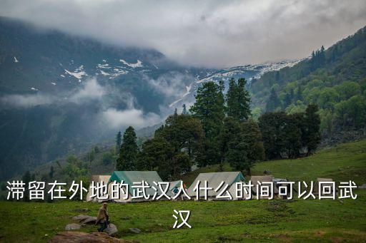 滯留在外地的武漢人什么時間可以回武漢
