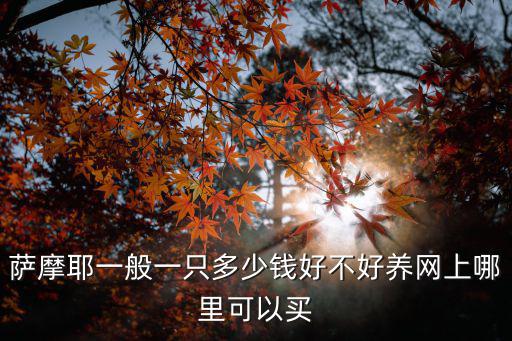 合肥薩摩耶配窩多少錢,純種薩摩耶多少錢
