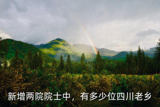 四川兩院院士集中在哪里,有多少位四川老鄉
