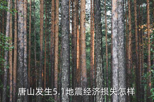 河北廊坊地震唐山多少,河北唐山發(fā)生5.1級(jí)地震