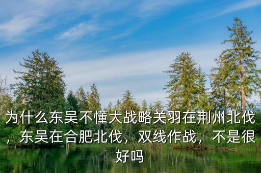 為什么東吳不懂大戰略關羽在荊州北伐，東吳在合肥北伐，雙線作戰，不是很好嗎