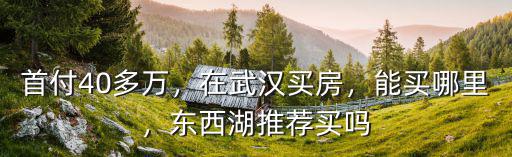 武漢房姐買東西湖怎么樣,東西湖
