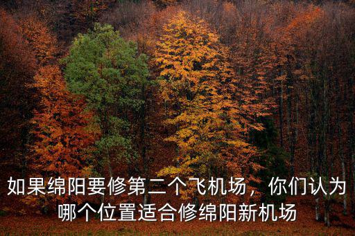 如果綿陽要修第二個飛機場，你們認為哪個位置適合修綿陽新機場