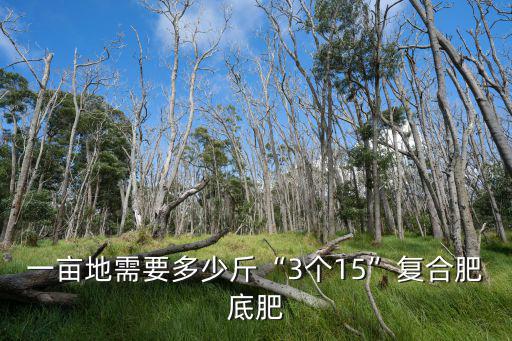 玉米復合肥一畝地能上多少斤,一畝地玉米能打多少斤糧食