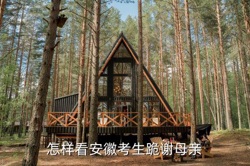 合肥考生跪謝母親考了多少分,怎樣看安徽考生跪謝母親