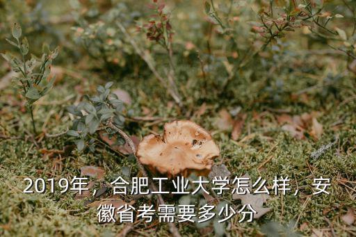 合肥工業(yè)大學(xué)理科要多少分,合肥工業(yè)大學(xué)怎么樣