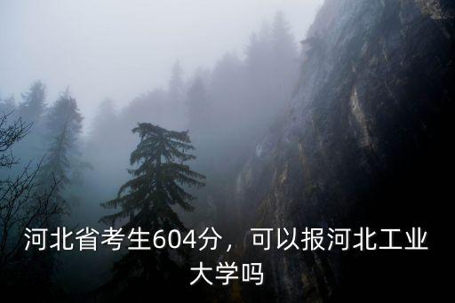 河北省考生604分，可以報河北工業大學嗎