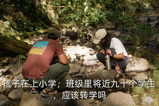 孩子在上小學，班級里將近九十個學生，應該轉(zhuǎn)學嗎