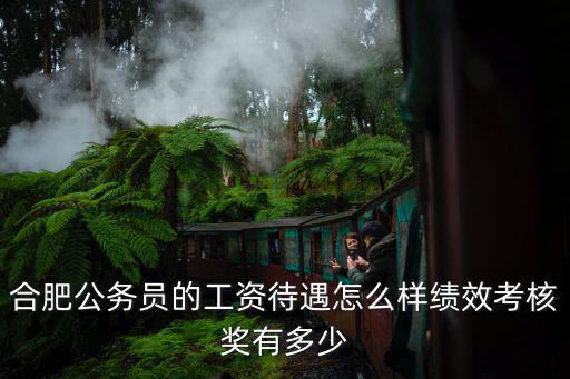 合肥公務(wù)員的工資待遇怎么樣績(jī)效考核獎(jiǎng)有多少