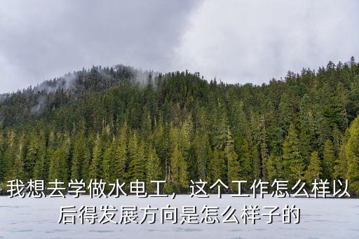 我想去學(xué)做水電工，這個(gè)工作怎么樣以后得發(fā)展方向是怎么樣子的