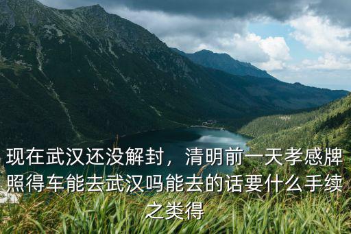 現在武漢還沒解封，清明前一天孝感牌照得車能去武漢嗎能去的話要什么手續之類得