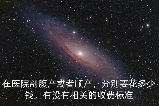 廊坊市醫院刨腹產多少錢,分別要花多少錢